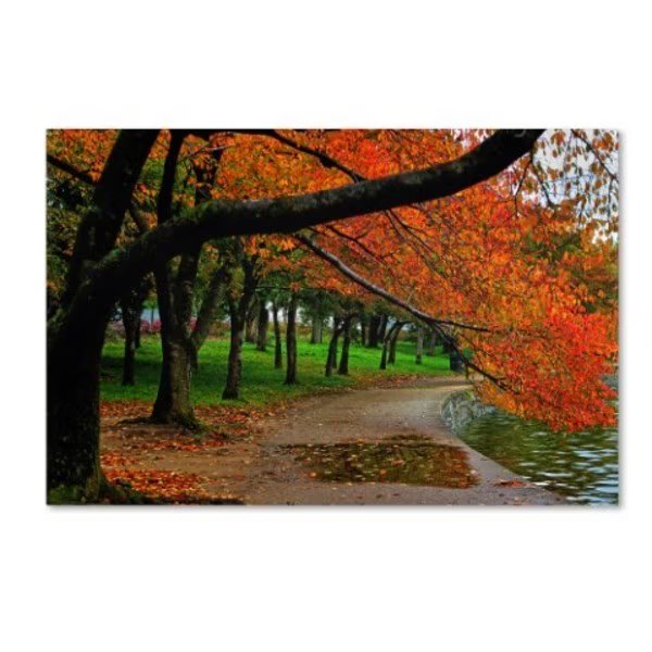 CATeyes 'Tidal Basin Autumn 2' Canvas Art, 30x47, Trademark Fine Art, Mfr#: MZ0310-C3047GG